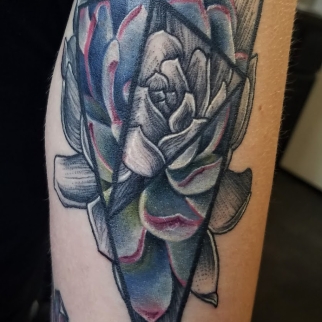 succulent lines triangle tattoo